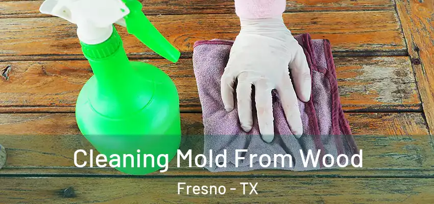  Cleaning Mold From Wood Fresno - TX