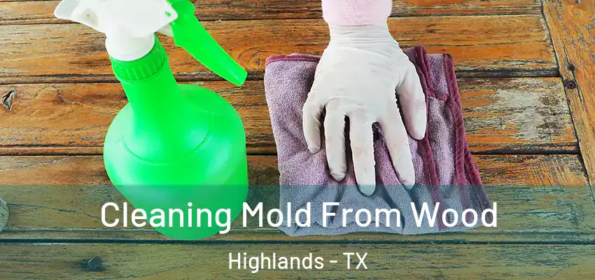  Cleaning Mold From Wood Highlands - TX