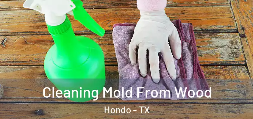  Cleaning Mold From Wood Hondo - TX
