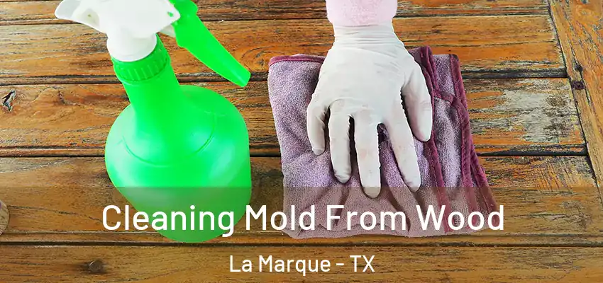  Cleaning Mold From Wood La Marque - TX