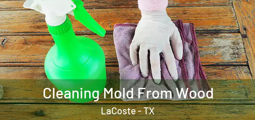  Cleaning Mold From Wood LaCoste - TX