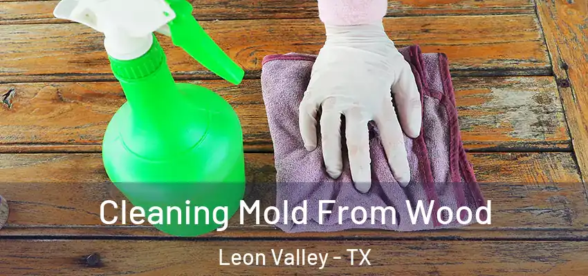  Cleaning Mold From Wood Leon Valley - TX