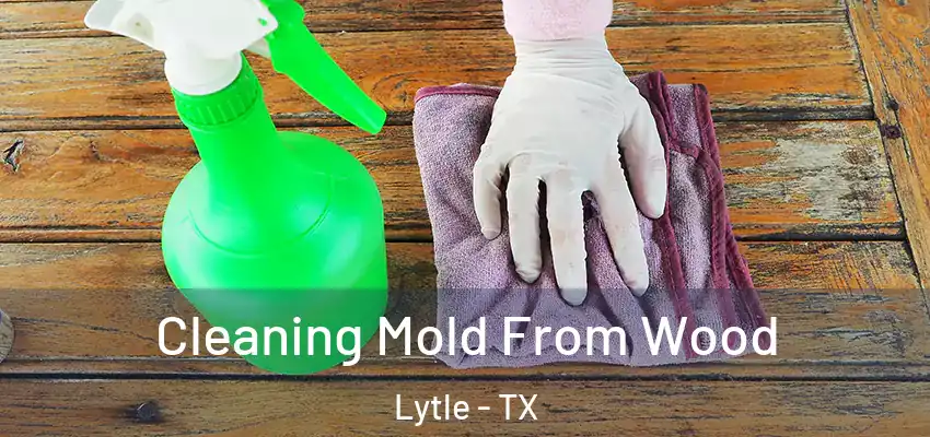  Cleaning Mold From Wood Lytle - TX
