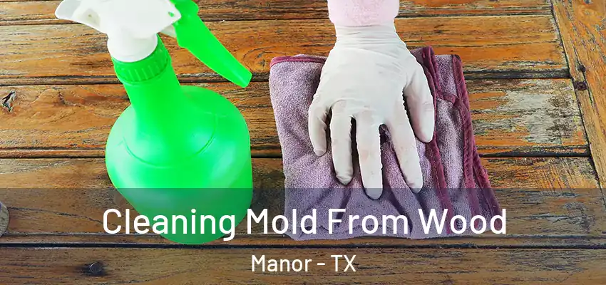  Cleaning Mold From Wood Manor - TX