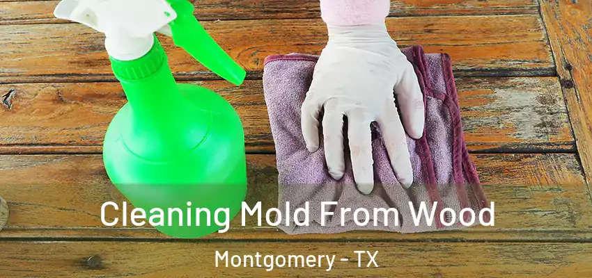  Cleaning Mold From Wood Montgomery - TX