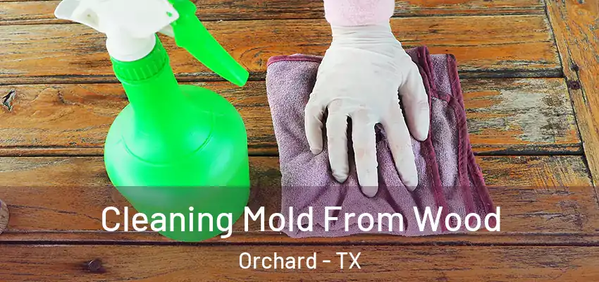  Cleaning Mold From Wood Orchard - TX