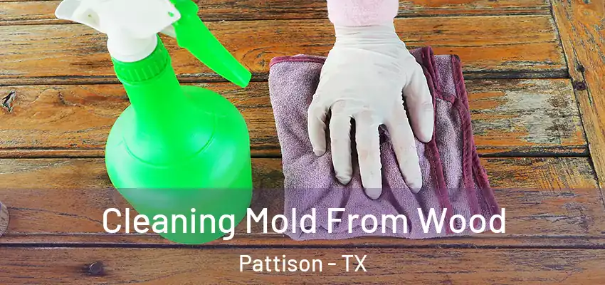  Cleaning Mold From Wood Pattison - TX