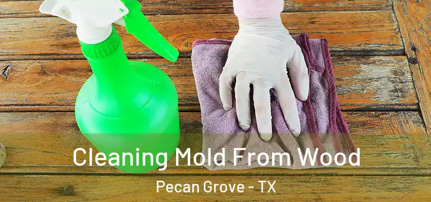  Cleaning Mold From Wood Pecan Grove - TX