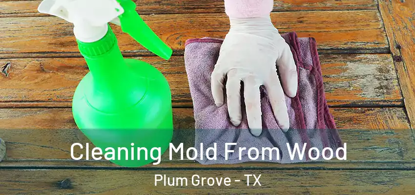  Cleaning Mold From Wood Plum Grove - TX