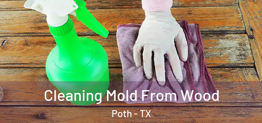  Cleaning Mold From Wood Poth - TX