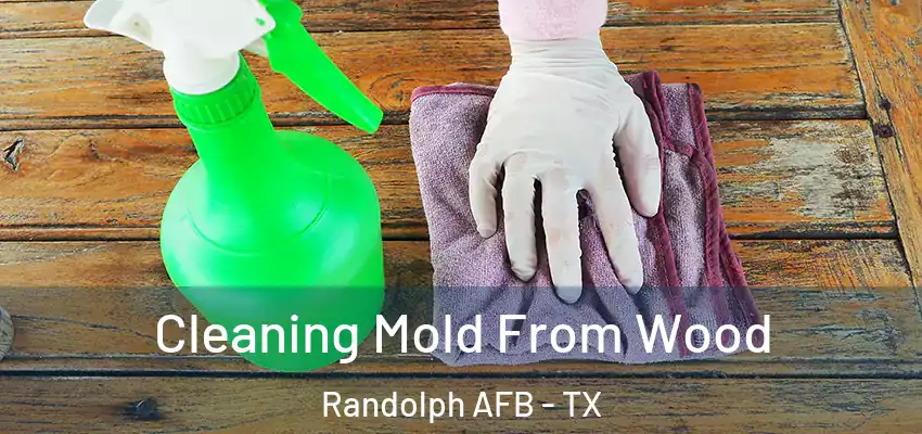  Cleaning Mold From Wood Randolph AFB - TX