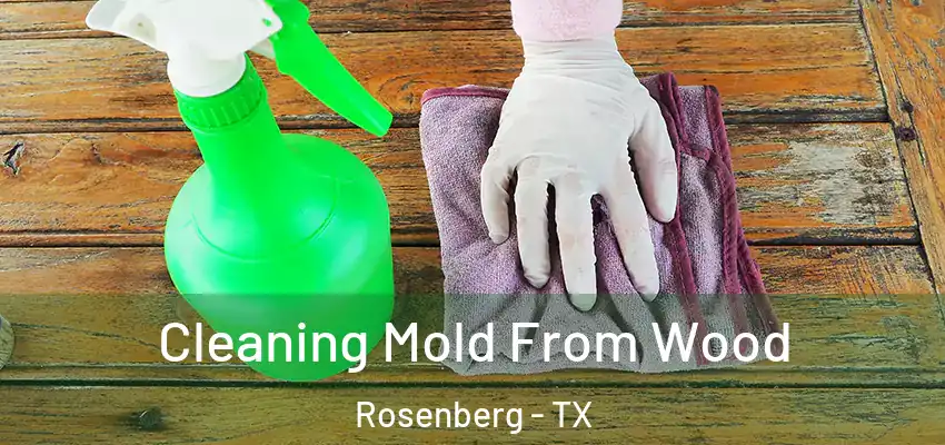  Cleaning Mold From Wood Rosenberg - TX