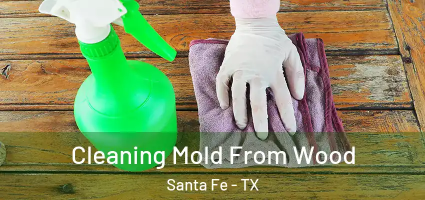  Cleaning Mold From Wood Santa Fe - TX