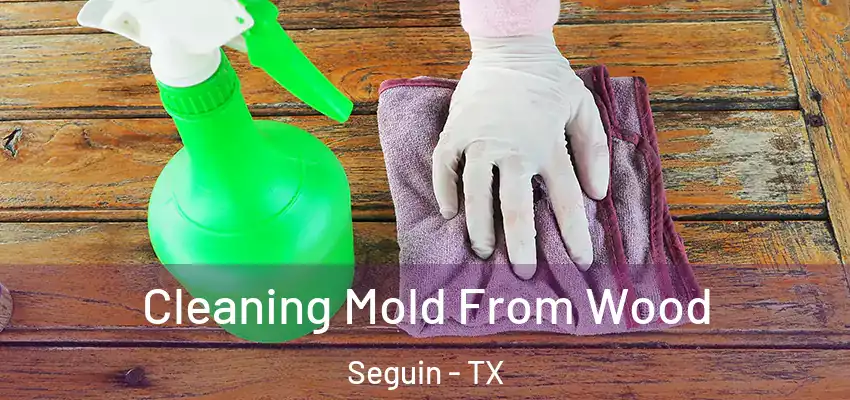  Cleaning Mold From Wood Seguin - TX