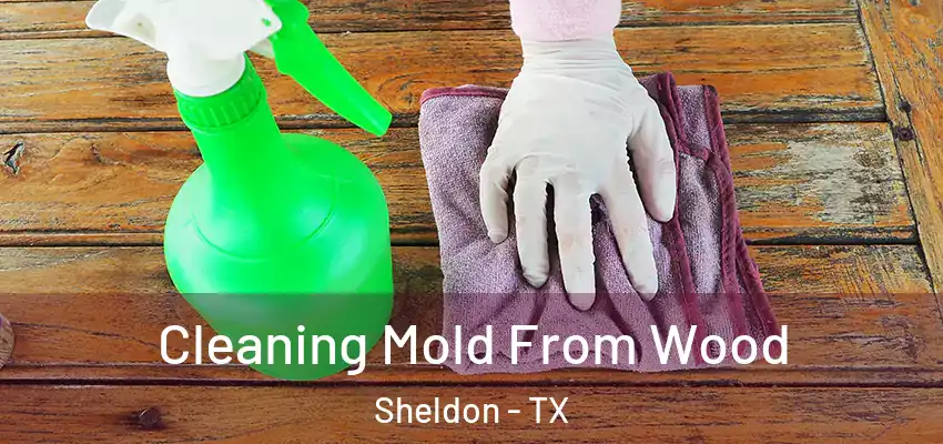  Cleaning Mold From Wood Sheldon - TX