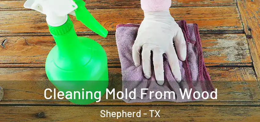  Cleaning Mold From Wood Shepherd - TX
