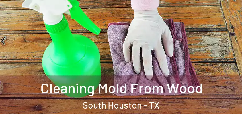  Cleaning Mold From Wood South Houston - TX