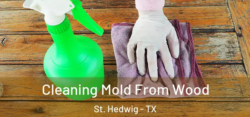  Cleaning Mold From Wood St. Hedwig - TX