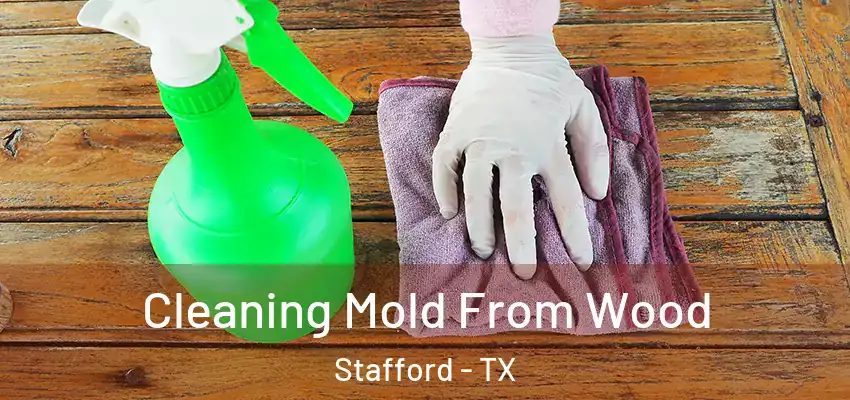  Cleaning Mold From Wood Stafford - TX