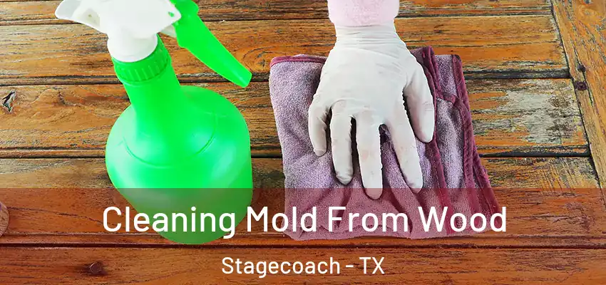  Cleaning Mold From Wood Stagecoach - TX