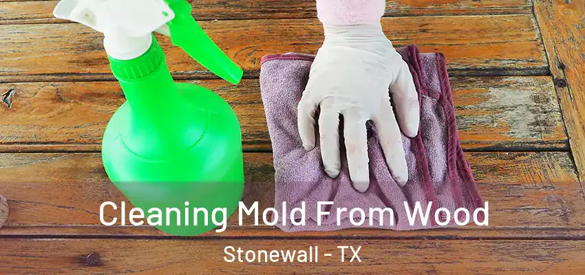  Cleaning Mold From Wood Stonewall - TX