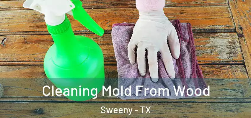  Cleaning Mold From Wood Sweeny - TX