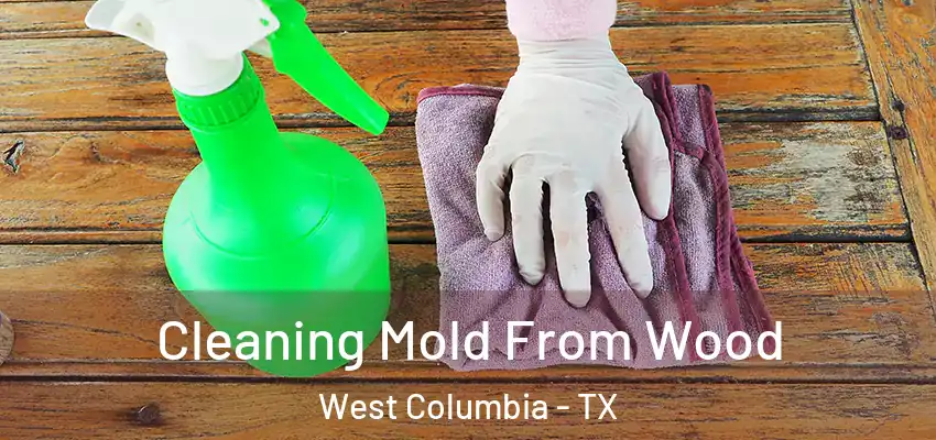  Cleaning Mold From Wood West Columbia - TX