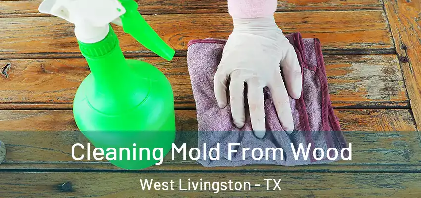  Cleaning Mold From Wood West Livingston - TX