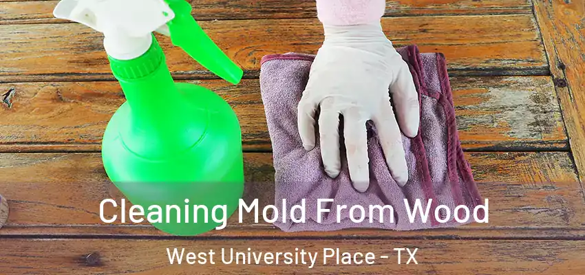  Cleaning Mold From Wood West University Place - TX