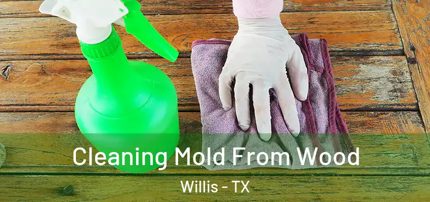  Cleaning Mold From Wood Willis - TX