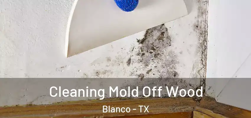  Cleaning Mold Off Wood Blanco - TX