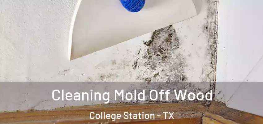 Cleaning Mold Off Wood College Station - TX