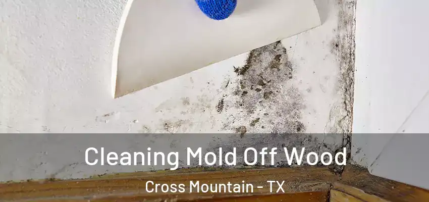  Cleaning Mold Off Wood Cross Mountain - TX