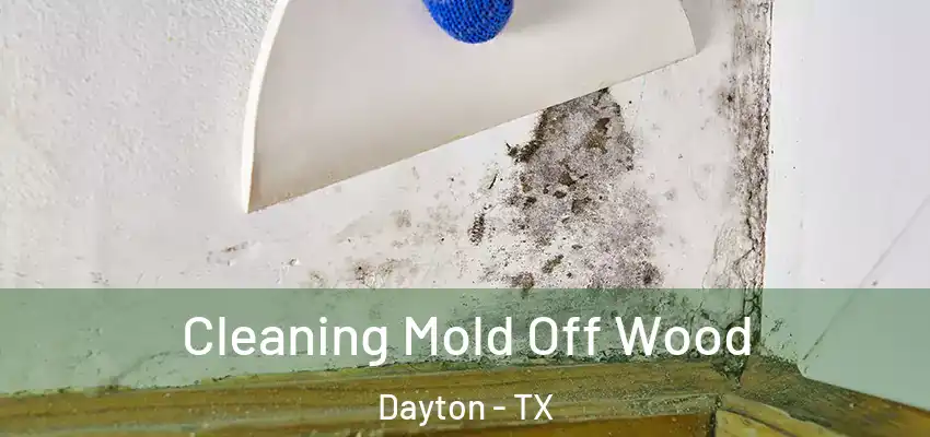  Cleaning Mold Off Wood Dayton - TX