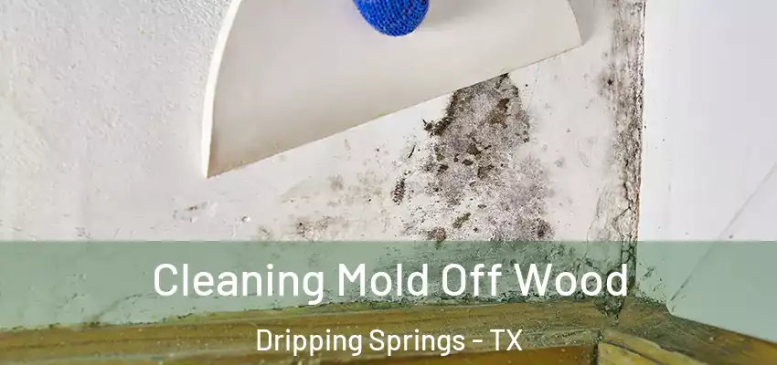  Cleaning Mold Off Wood Dripping Springs - TX