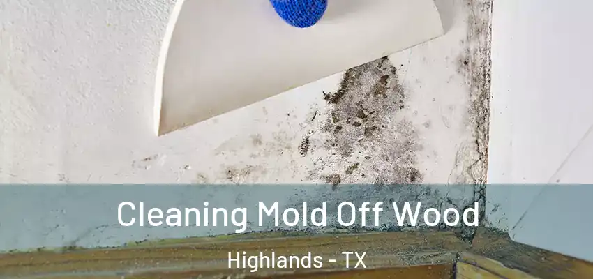  Cleaning Mold Off Wood Highlands - TX