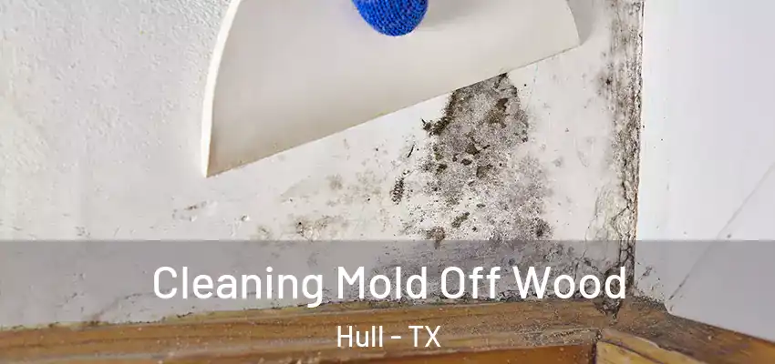  Cleaning Mold Off Wood Hull - TX