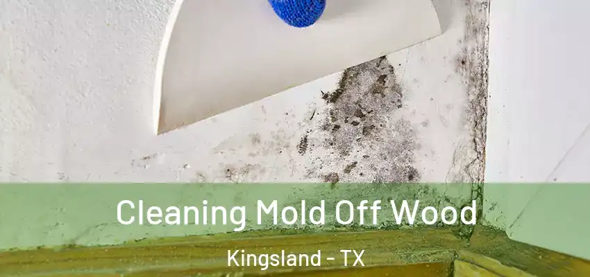  Cleaning Mold Off Wood Kingsland - TX