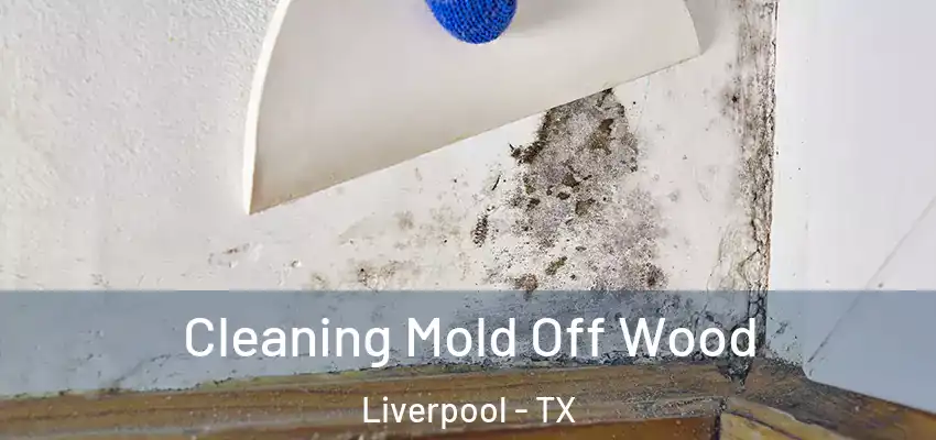  Cleaning Mold Off Wood Liverpool - TX