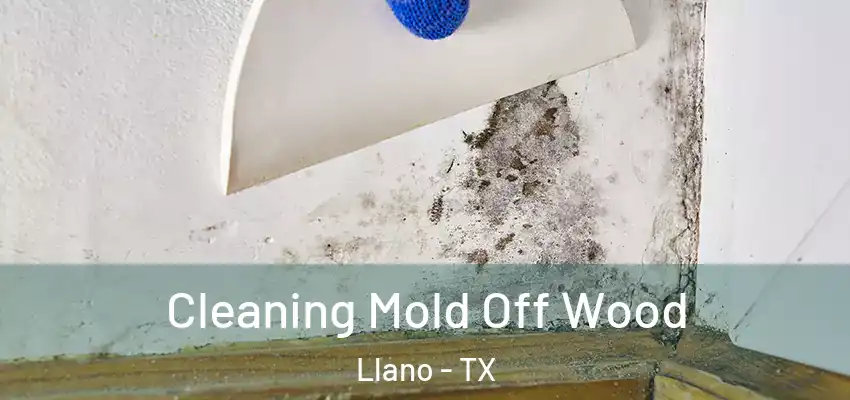  Cleaning Mold Off Wood Llano - TX