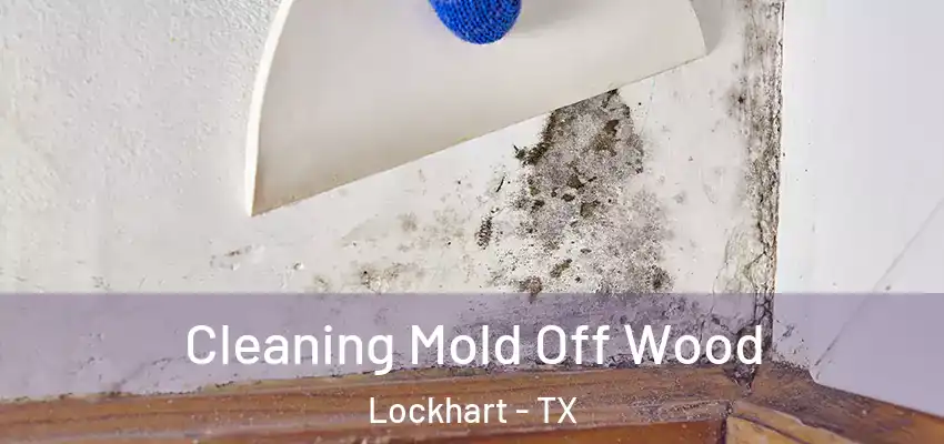  Cleaning Mold Off Wood Lockhart - TX