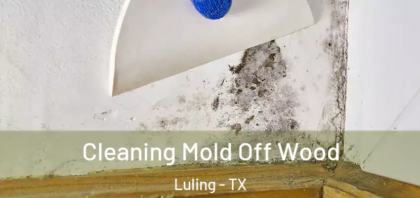  Cleaning Mold Off Wood Luling - TX