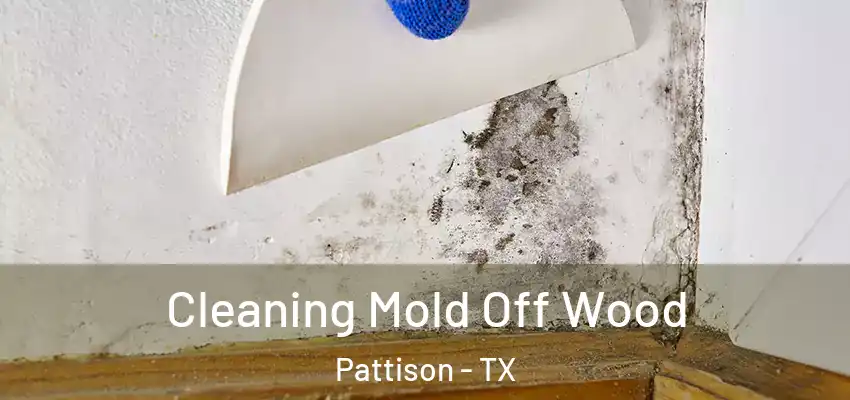  Cleaning Mold Off Wood Pattison - TX
