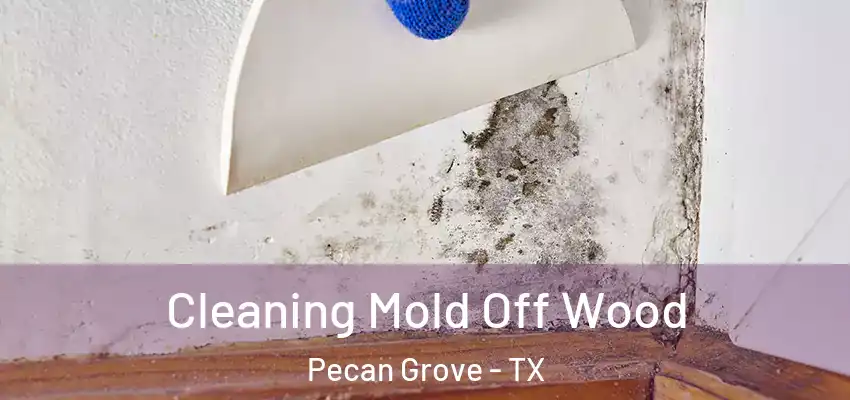  Cleaning Mold Off Wood Pecan Grove - TX