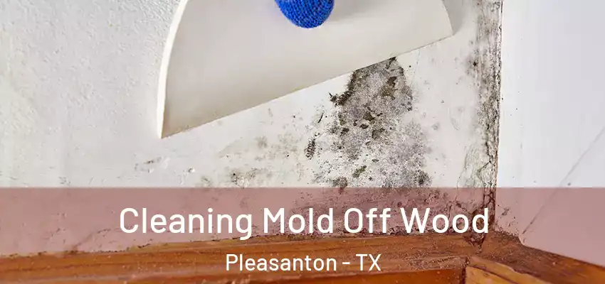  Cleaning Mold Off Wood Pleasanton - TX