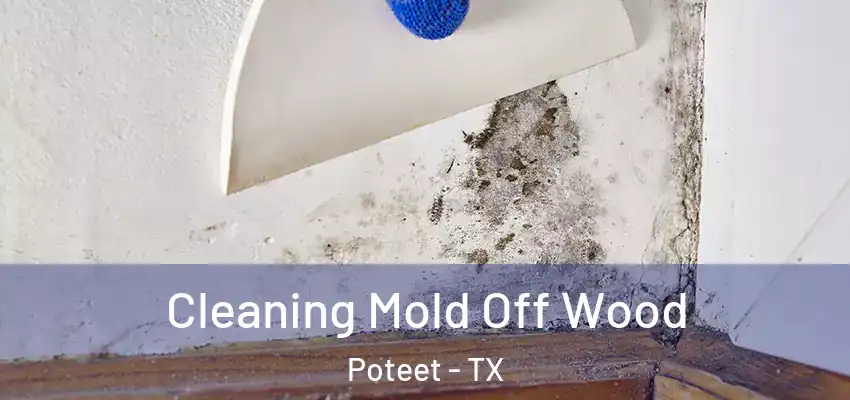 Cleaning Mold Off Wood Poteet - TX