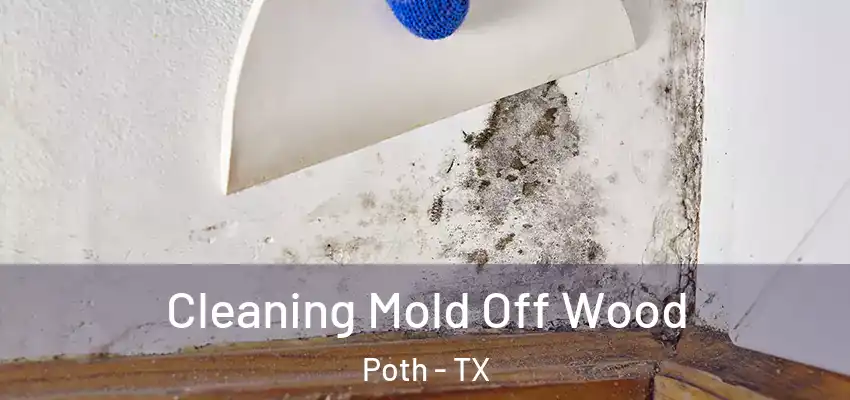  Cleaning Mold Off Wood Poth - TX