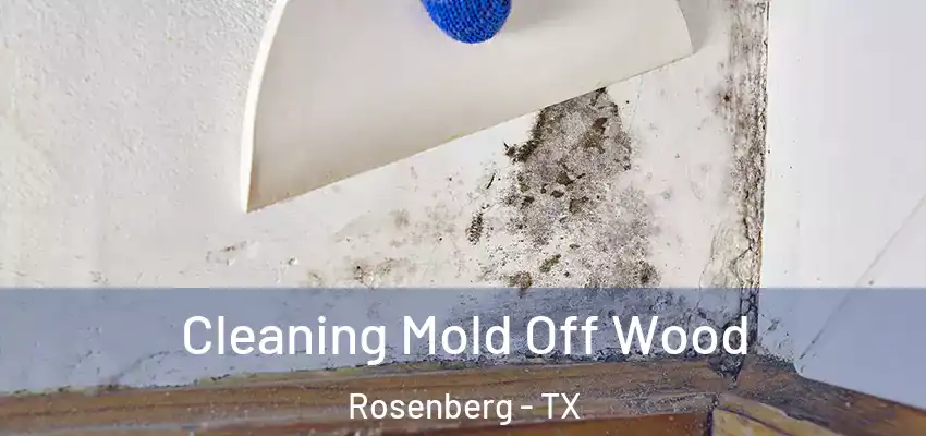  Cleaning Mold Off Wood Rosenberg - TX