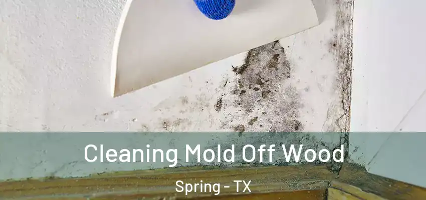  Cleaning Mold Off Wood Spring - TX
