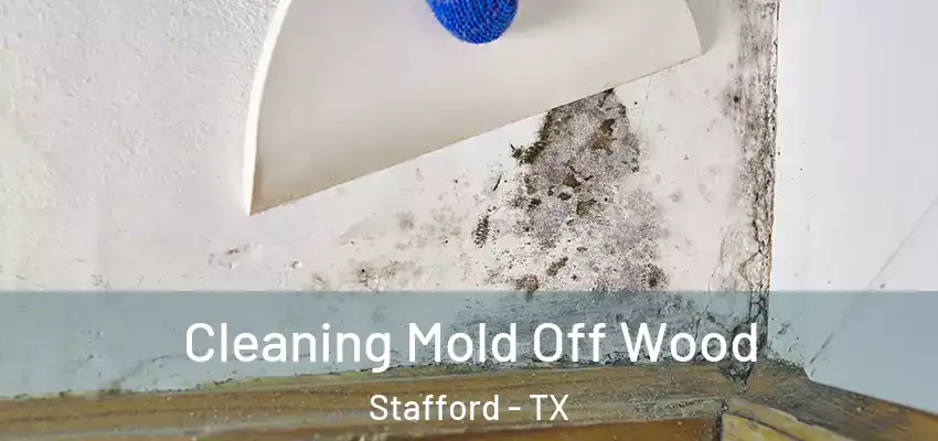  Cleaning Mold Off Wood Stafford - TX